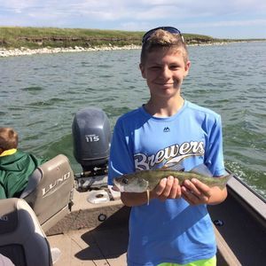 Meet your Posher, Travis